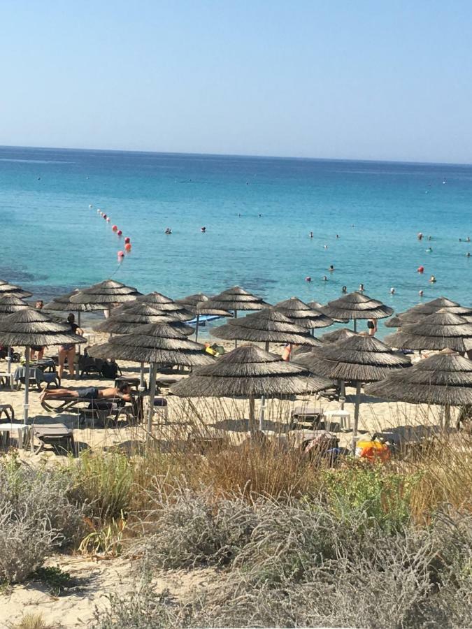 Narcissos 'Nissi Beach' Apartment C12 ไอยานาปา ภายนอก รูปภาพ